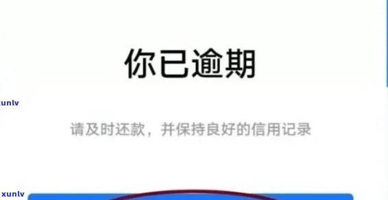 洞庭湖产什么茶叶？湖南特产介绍