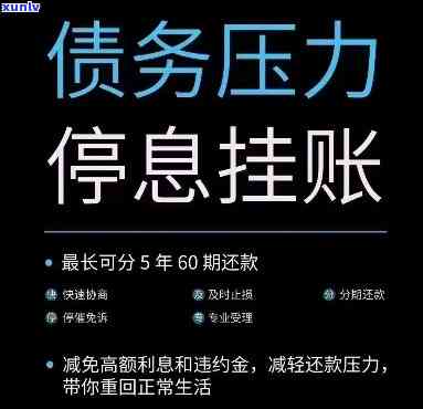 翡翠蛋面原石：选购、鉴赏、保养全方位指南，让你成为专家！