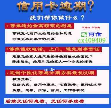 探秘三彩翡翠手镯价值千万元的真实性与特征