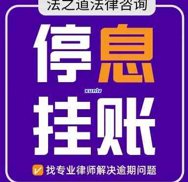 中吉号普洱茶的投资价值与未来升值趋势分析