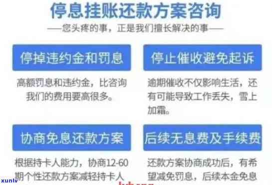 几万的翡翠吊坠，璀璨夺目！探索几万元翡翠吊坠的魅力与价值