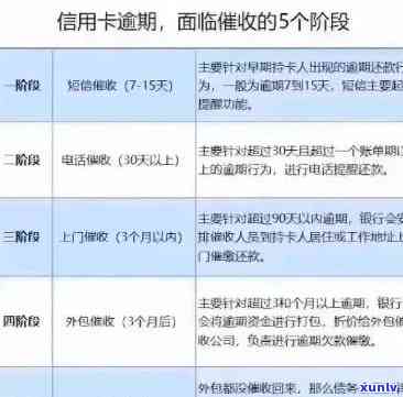 阳绿与帝王绿的区别：价格、特征及图片对比