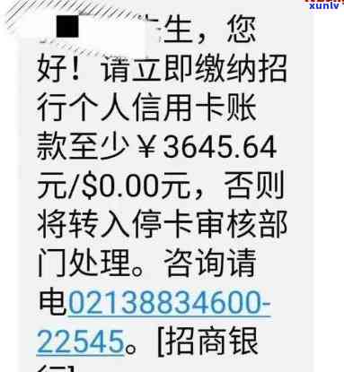 信用卡逾期还款可能带来的后果与解决 *** 