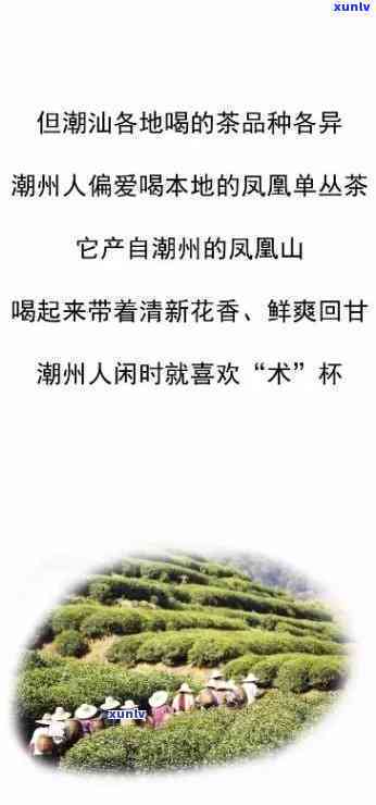 冰种翡翠值钱吗，揭秘价值连城的冰种翡翠，为何如此受追捧？