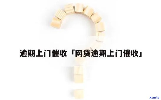 大益尊享会员多少人免费，揭秘大益尊享会员免费人数，让您不再疑惑！