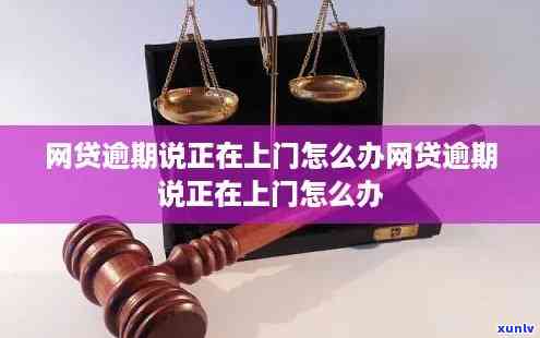 为什么茶叶提神效果比咖啡好？关键成分解析与价格差异探讨