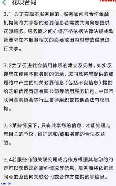 翡翠豆子铂金镶嵌：材质、工艺、保养与价值全方位解析