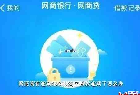 如何查询信用卡逾期案件是否已进入法律程序，以及相关指南和建议