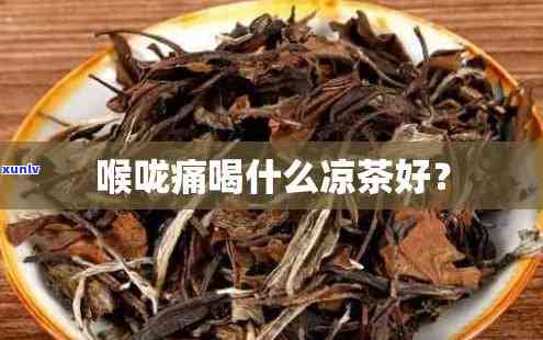 用水杯泡茶，什么茶？口感、健全方位比较