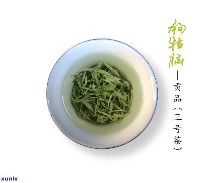 云南老班章古树茶厂的普洱茶口感与独特之处解析：来自勐海县的顶级茶品体验