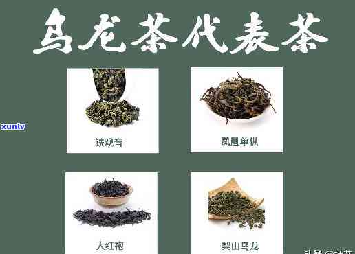 中邦茗茶属于什么茶-中邦茗开云全站茶铁盒装(图7)