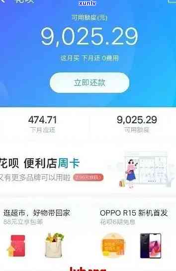 全面解析：黑玛瑙珠子价格差异及功效作用