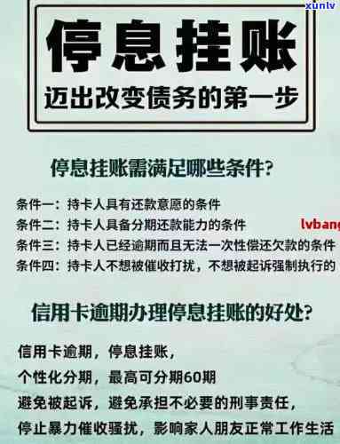 金盾白酒价钱图片，查询最新金盾白酒价格及高清图片，一网打尽！