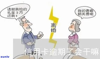 冰种翡翠拍卖价格全揭秘：最新价目表及市场行情分析