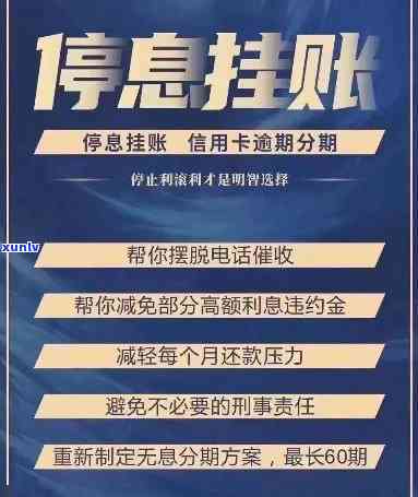 顶级翡翠黑石头价值解析：重量单位、价格范围及敞口特征全揭秘