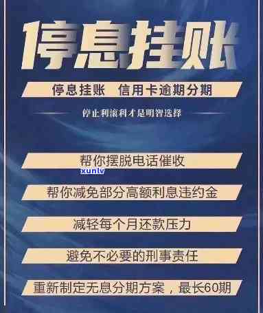 顶级翡翠黑石头价值解析：重量单位、价格范围及敞口特征全揭秘