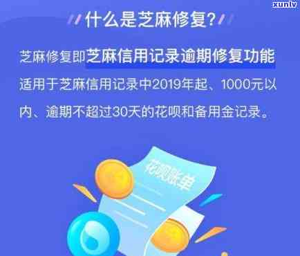 翡翠站佛与坐佛的区别与美观度比较：揭示翡翠站佛的寓意及含义。