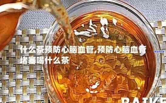 金骏眉普洱属于什么茶-金骏眉是普洱茶的一种吗