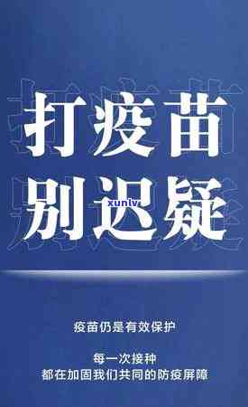 新200元一颗翡翠散珠：专业鉴定、高品质、投资收藏两相宜