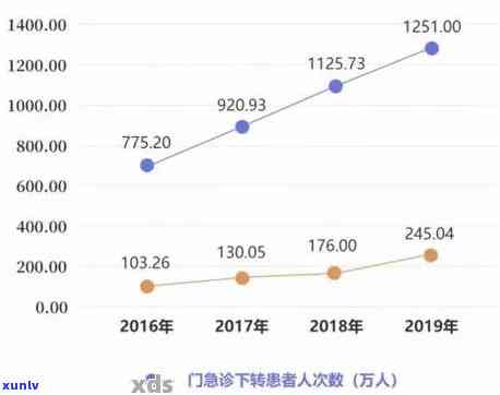 冰岛普洱茶私人定制：品质、口感、保存与冲泡技巧全方位解析