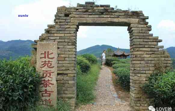 遵义红茶价格及图片-遵义红红茶价格和图片