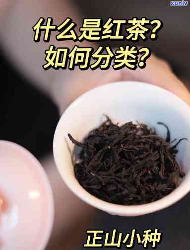 普洱茶的独特魅力：特点、口感及其影响因素的全面解析