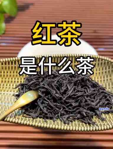 哪种冰岛茶好，推荐冰岛茶：哪种口味更佳？