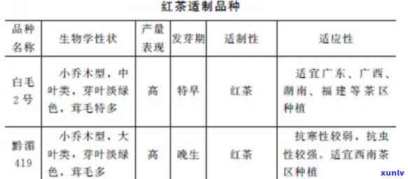 冰种翠镯图片-冰种翠镯图片大全