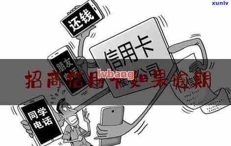 哪款茶叶减肥效果？综合比较分析