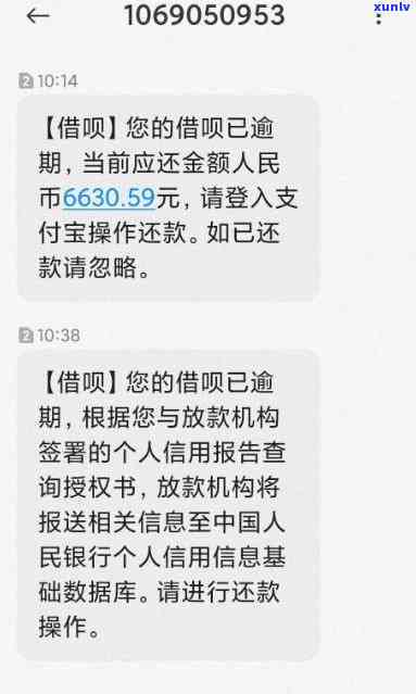 09年下关班章老树沱茶价格及市场行情分析