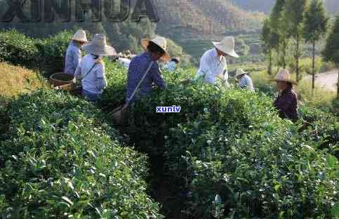 浦发银行期间，浦发银行在期间采用措保障客户安全与权益