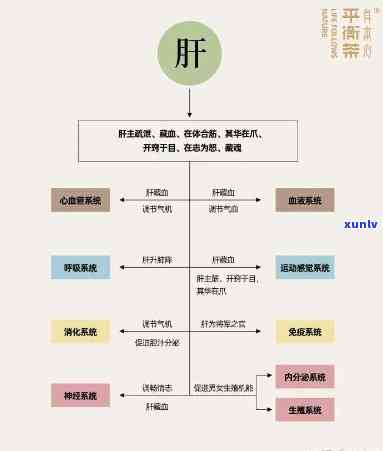 交行信用卡逾期协商本金归还、逾期标准、上时间、利息计算及司法程序