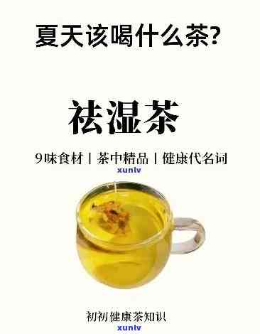 探索普洱茶与菊花的独特协同效应及其健益处