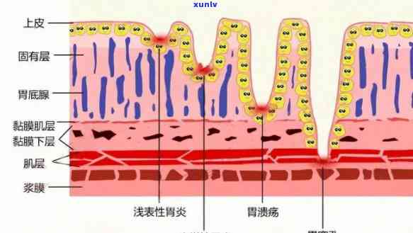 白毫银针茶叶多少钱-白毫银针茶叶多少钱一斤