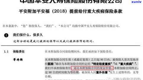 黄翡翠财神爷：适合谁戴？价值如何？寓意是什么？——翡翠黄财神吊坠全解析