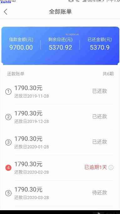 普洱茶金芽是怎么回事：熟茶口感解读