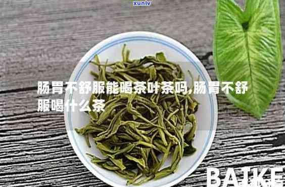 金鸡报晓普洱茶500