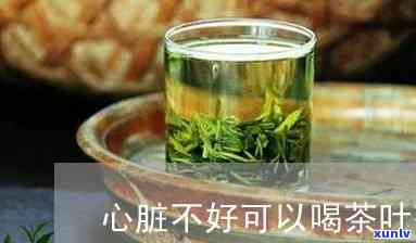 揭秘冰岛古树茶与冰岛普洱茶之间的差异