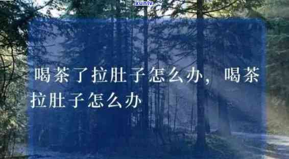 老班章村有多少古树及相关信息