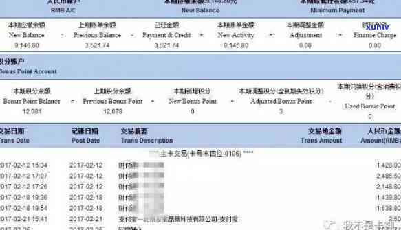 云南吉普号普洱茶的品鉴与鉴指南