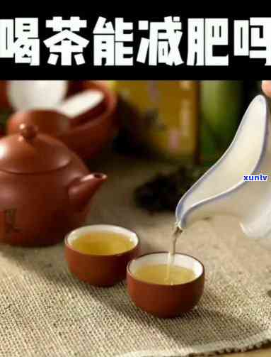 广州哪里有普洱茶场？了解广州普洱茶场的最新位置和交通指南。