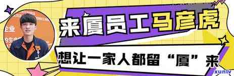 王普洱熟茶：高品质、市场价格及投资指南