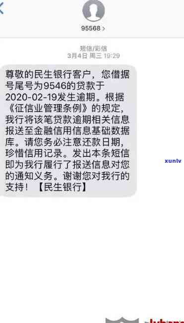 勐海普洱茶 *** 加盟详细费用分析，助您了解行业投资需求