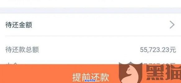 新信用卡逾期还款困境如何解决？无力偿还？教你应对 *** ！