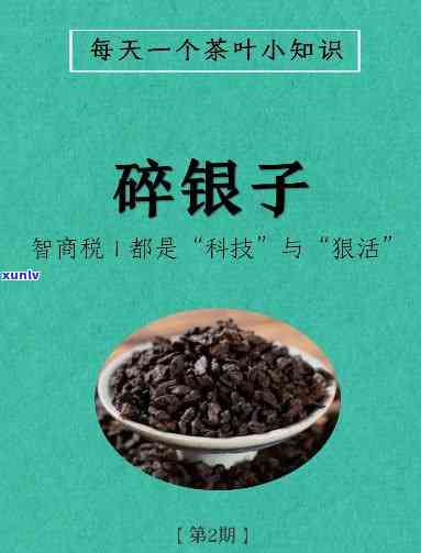 麒麟翡翠吊坠价格多少？寓意吉祥，是送礼佳选。一克的价格因品质而异，一般在几百至上千元不等。请根据预算选择合适的款式。