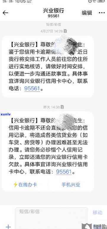 翡翠豆子胸针、吊坠、戒指镶嵌设计款及图片