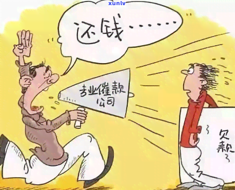 高冰翡翠挂件一般什么价格？详解市场行情与购买建议