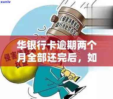 血珀与玛瑙：两者之比较，深入剖析各自特点及价值