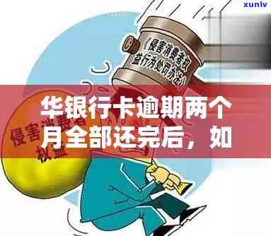 冬青叶怎么 *** 泡茶，冬青叶泡茶指南：如何 *** 美味健的冬青叶茶？