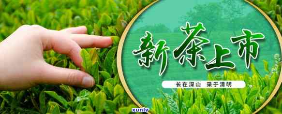 浦发逾期两个月更低未还，被告知将被计件，能否继续采用信用卡?